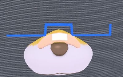 鼻先アート・メガネの迷宮